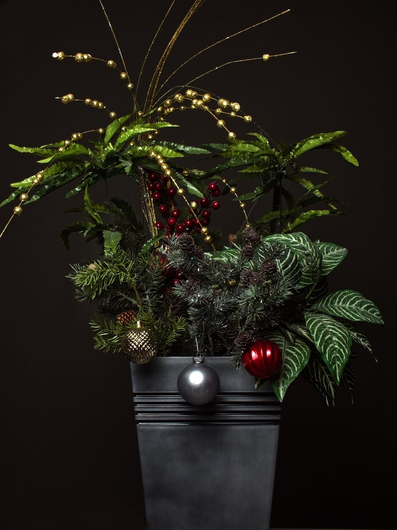 Indoor Plant Arrangement